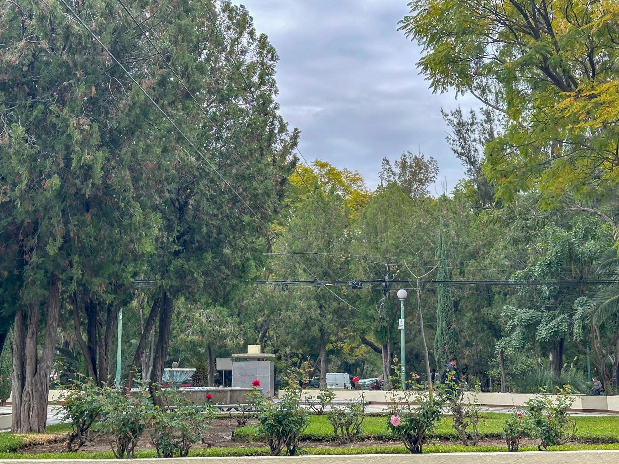 Sencillo Y Acogedor Estudio En Chapalita 02 Guadalajara Dış mekan fotoğraf