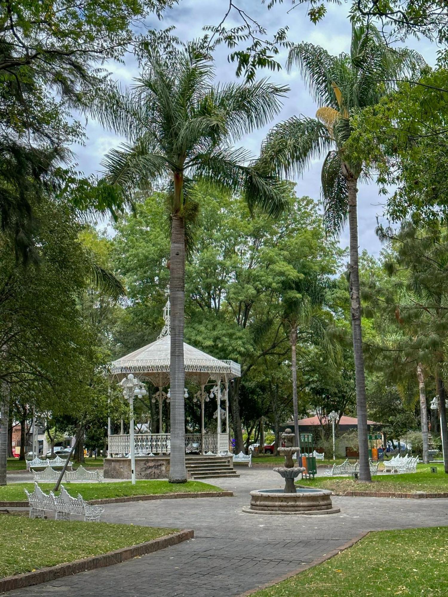 Sencillo Y Acogedor Estudio En Chapalita 02 Guadalajara Dış mekan fotoğraf